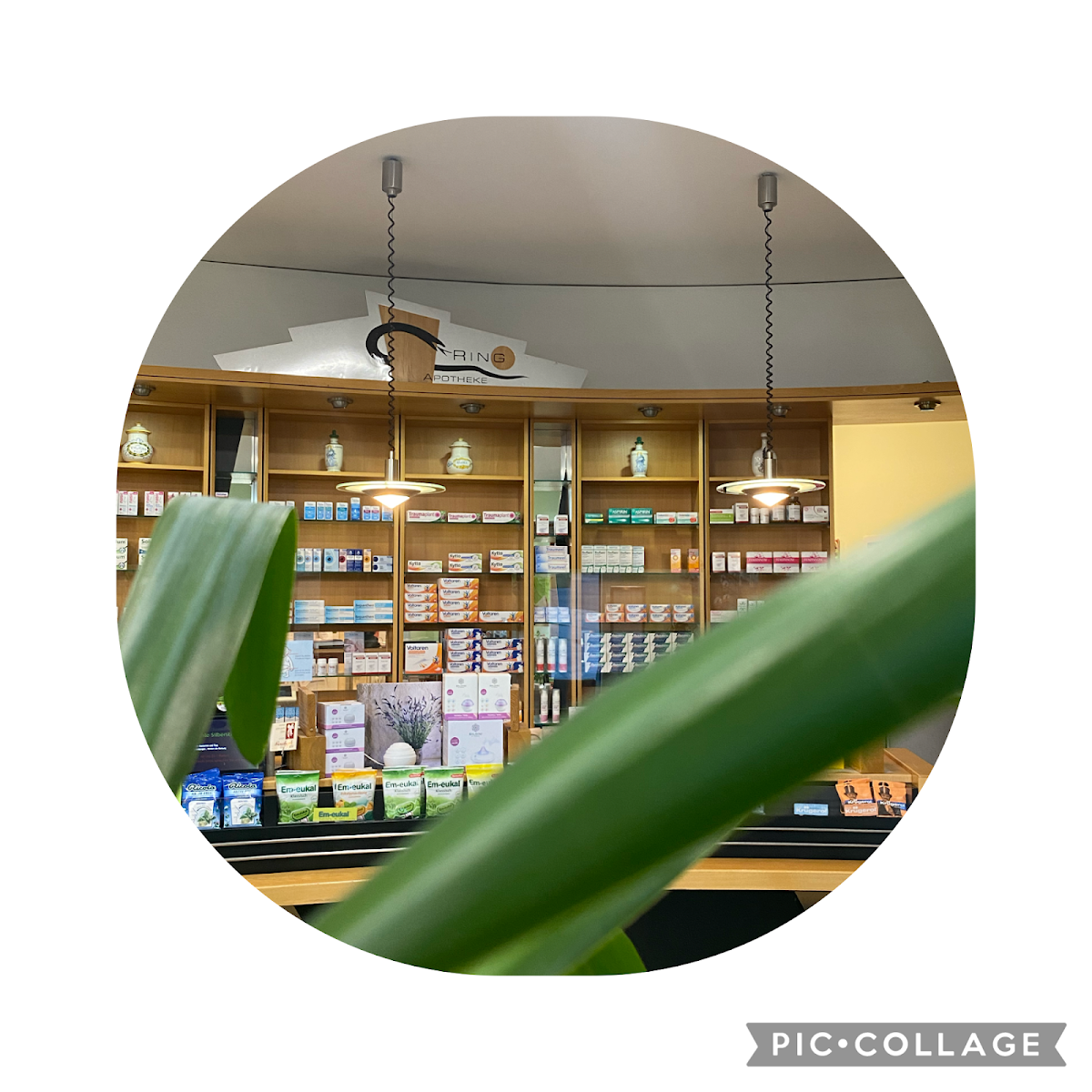 gp_69eecb1c60bb6